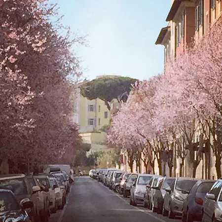 Vatican Maison Jolie Daire Roma